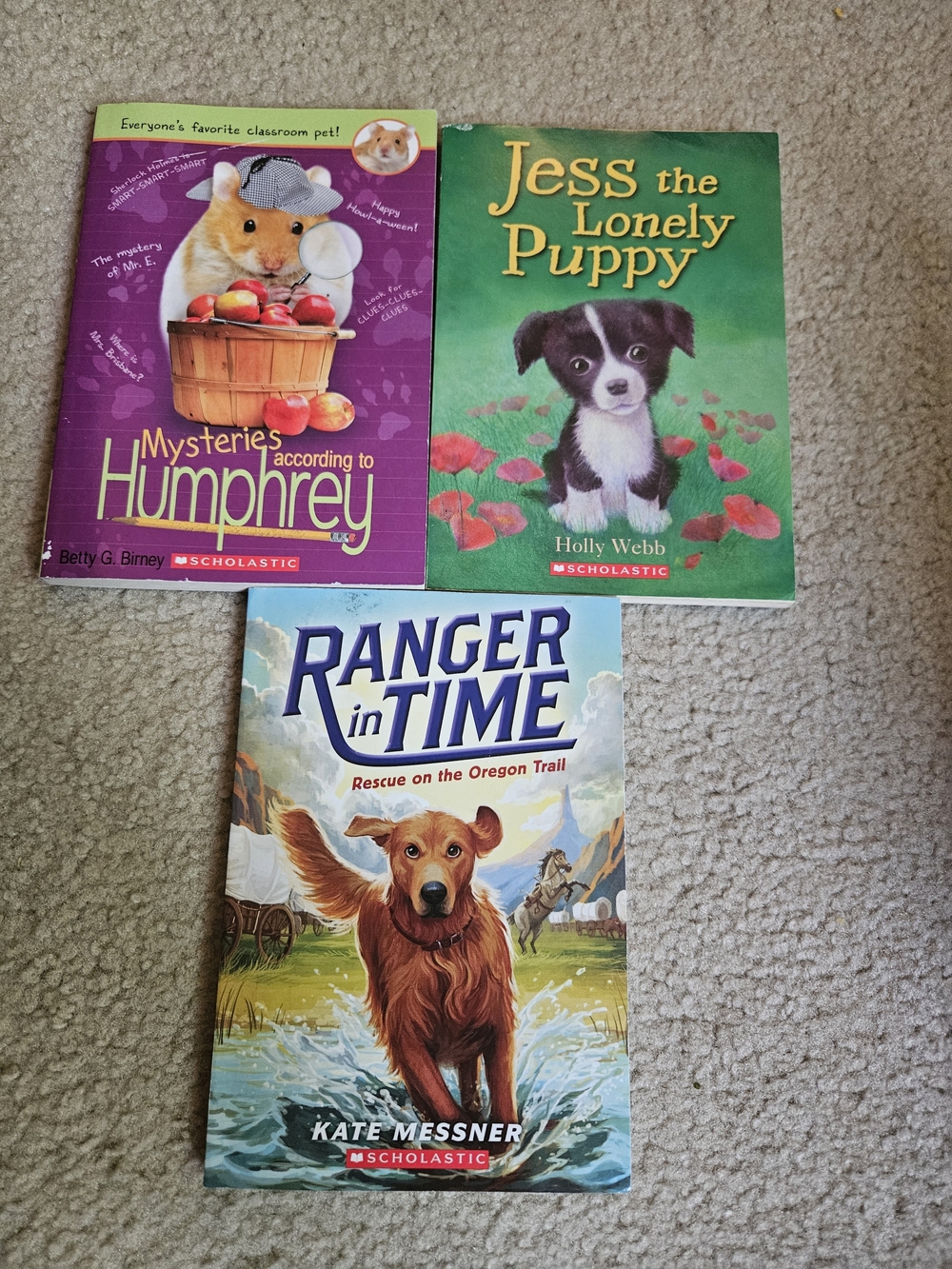 3 Paperback Childrens Thin Chapter Books